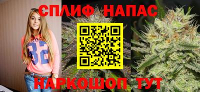 mdpv Можайск